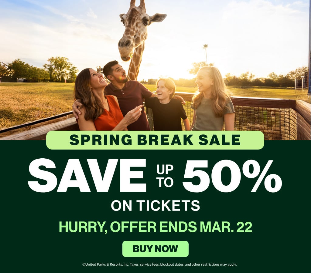 Save up to 50% on Tickets
