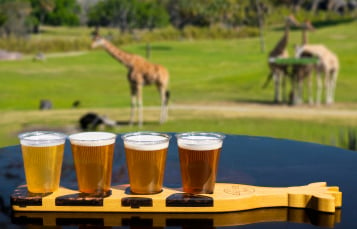 Giraffe Bar Beer Flight