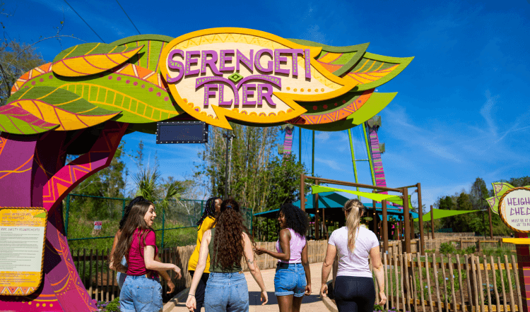 Serengeti Flyer at Busch Gardens