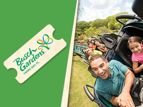 Enjoy one visit to Busch Gardens Tampa Bay