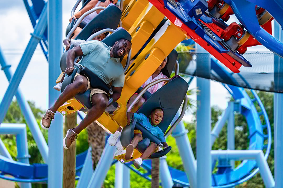 Theme Parks, Animal Encounters, & Attractions - Busch Gardens