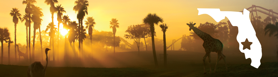 A golden sun is setting, silhouettes of a giraffe and ostrich, and an icon of the state of Florida