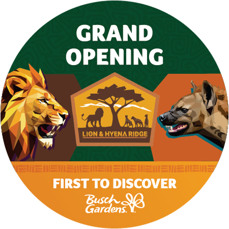 Grand Opening 
