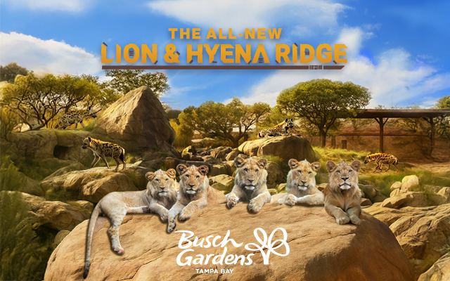 All-New Lion & Hyena Ridge