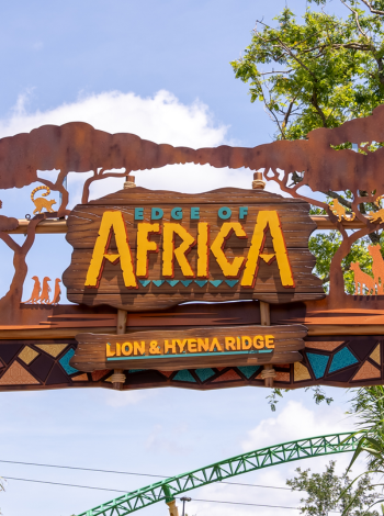 Lion and Hyena Ridge
