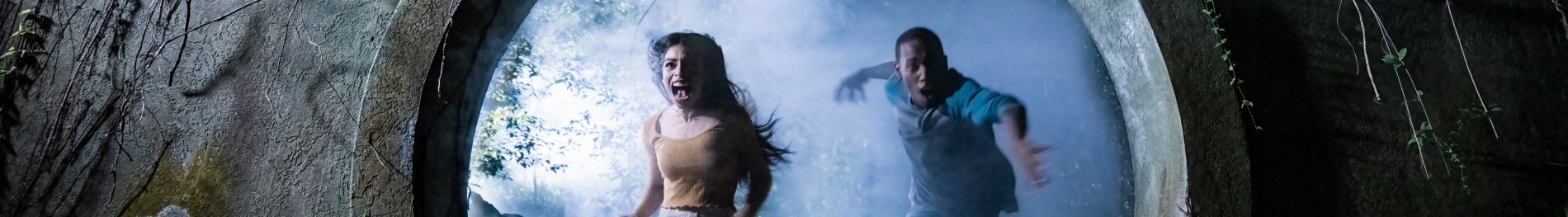 Witch of the Woods Howl-O-Scream