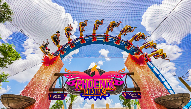 Entrance to Phoenix Rising