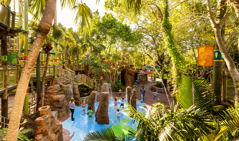 wild oasis