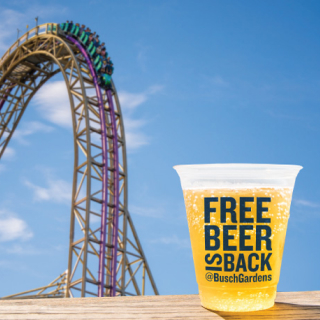 Free beer is back at Busch Gardens Tampa Bay