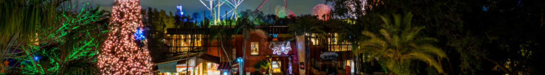 Christmas Town at Busch Gardens Tampa Bay