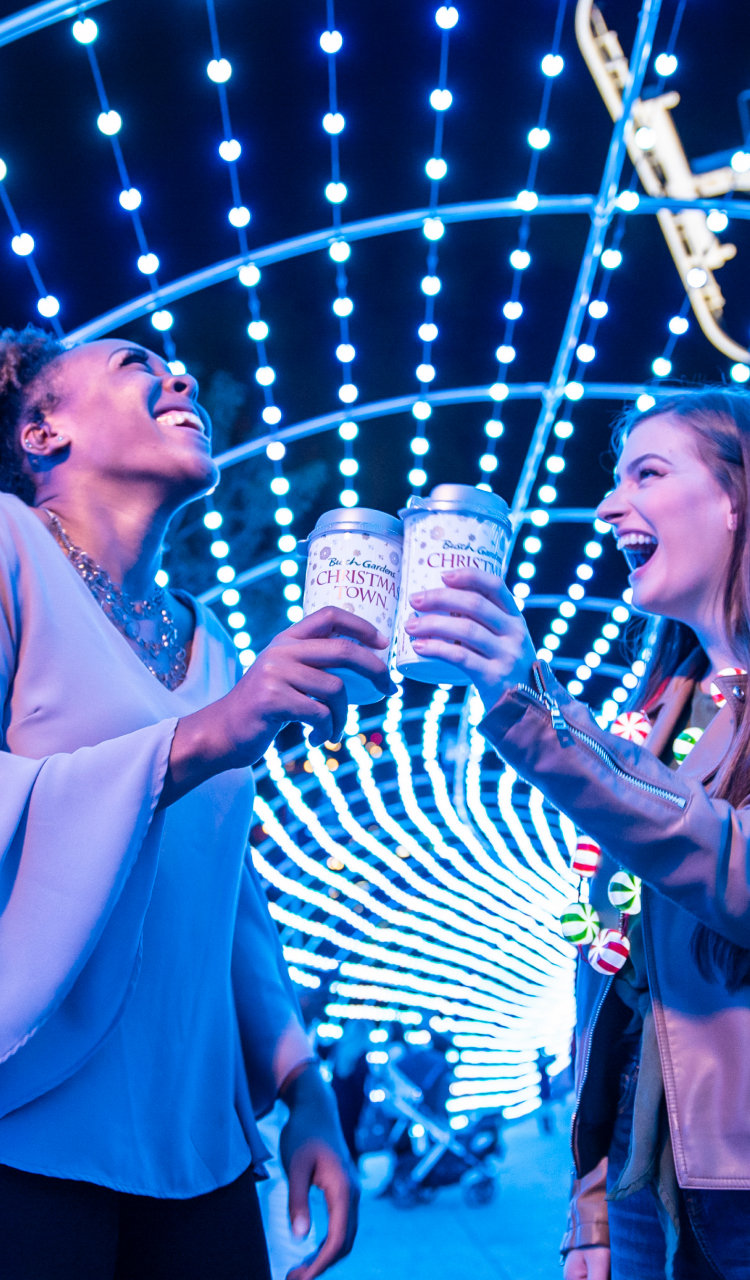 Festival light tunnel at Busch Gardens Tampa Bay Christmas Town