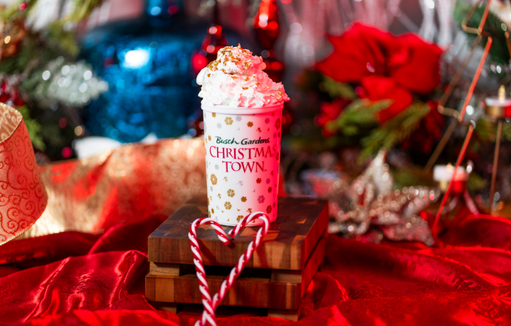 Hot Chocolate in a souvenir mug at Busch Gardens Tampa Bay Christmas Town