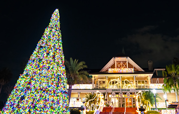 chirstmas light show