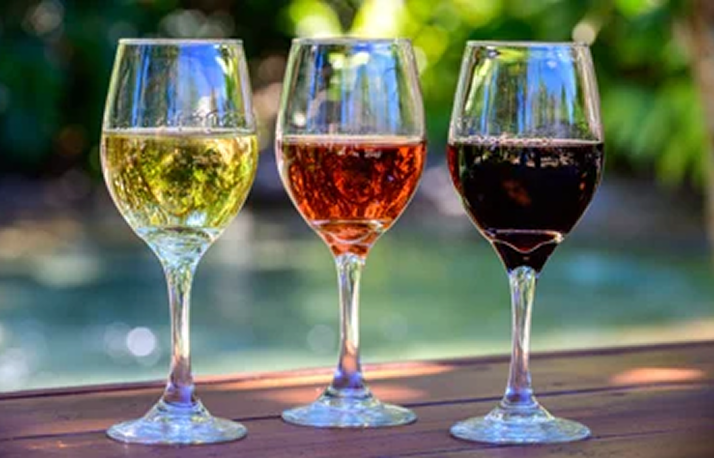 BGT Food and wine festival food.