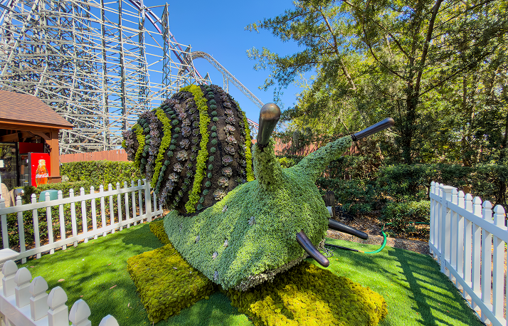 BGT food and wine and garden fest