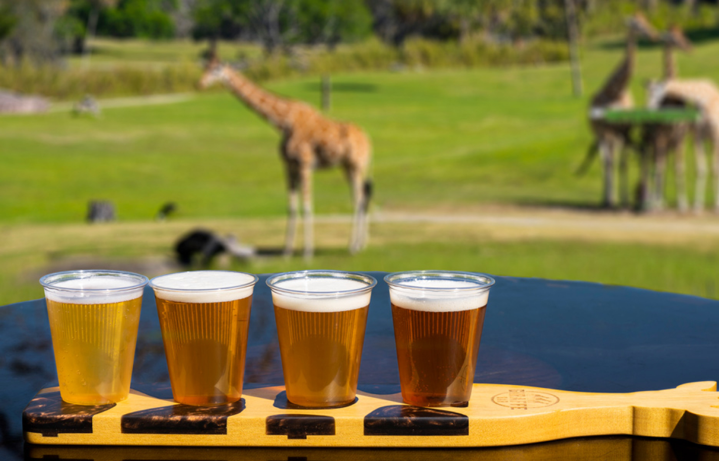 Giraffe Bar flight