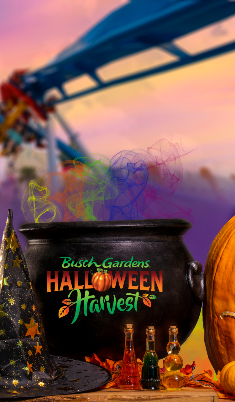Halloween harvest logo on a cauldron 