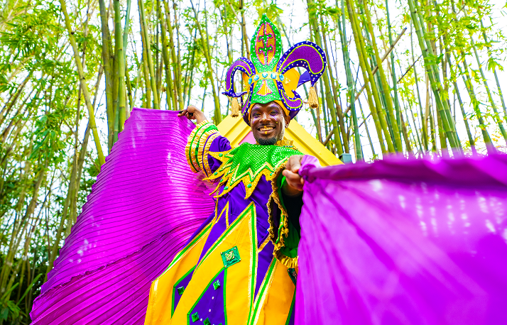 mardi gras entertainment