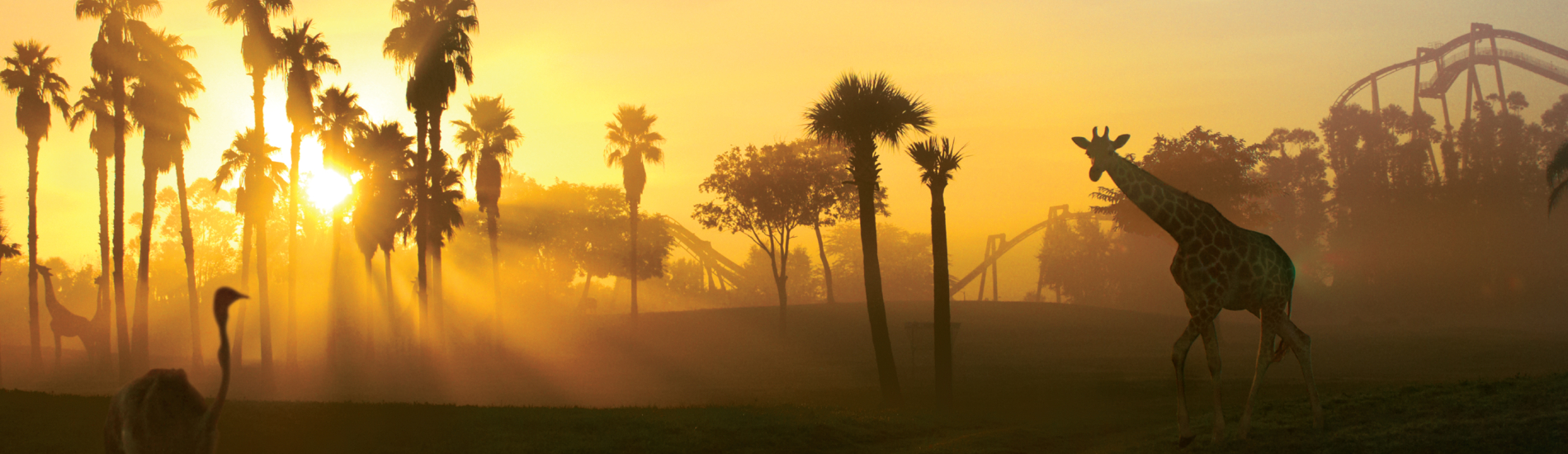 sunrise at BGT