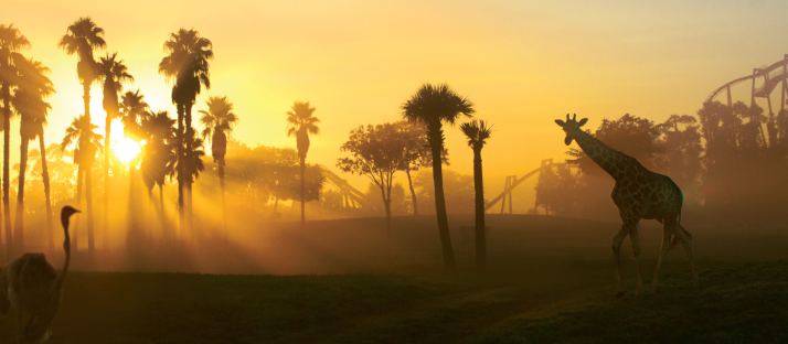 sunrise at BGT