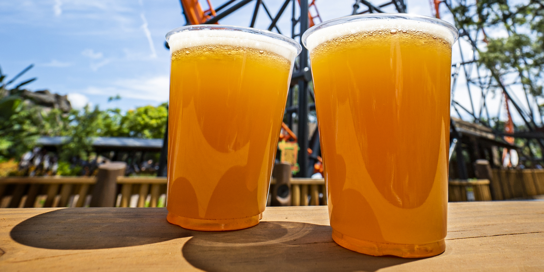 Beers at Busch Gardens Tampa Bay