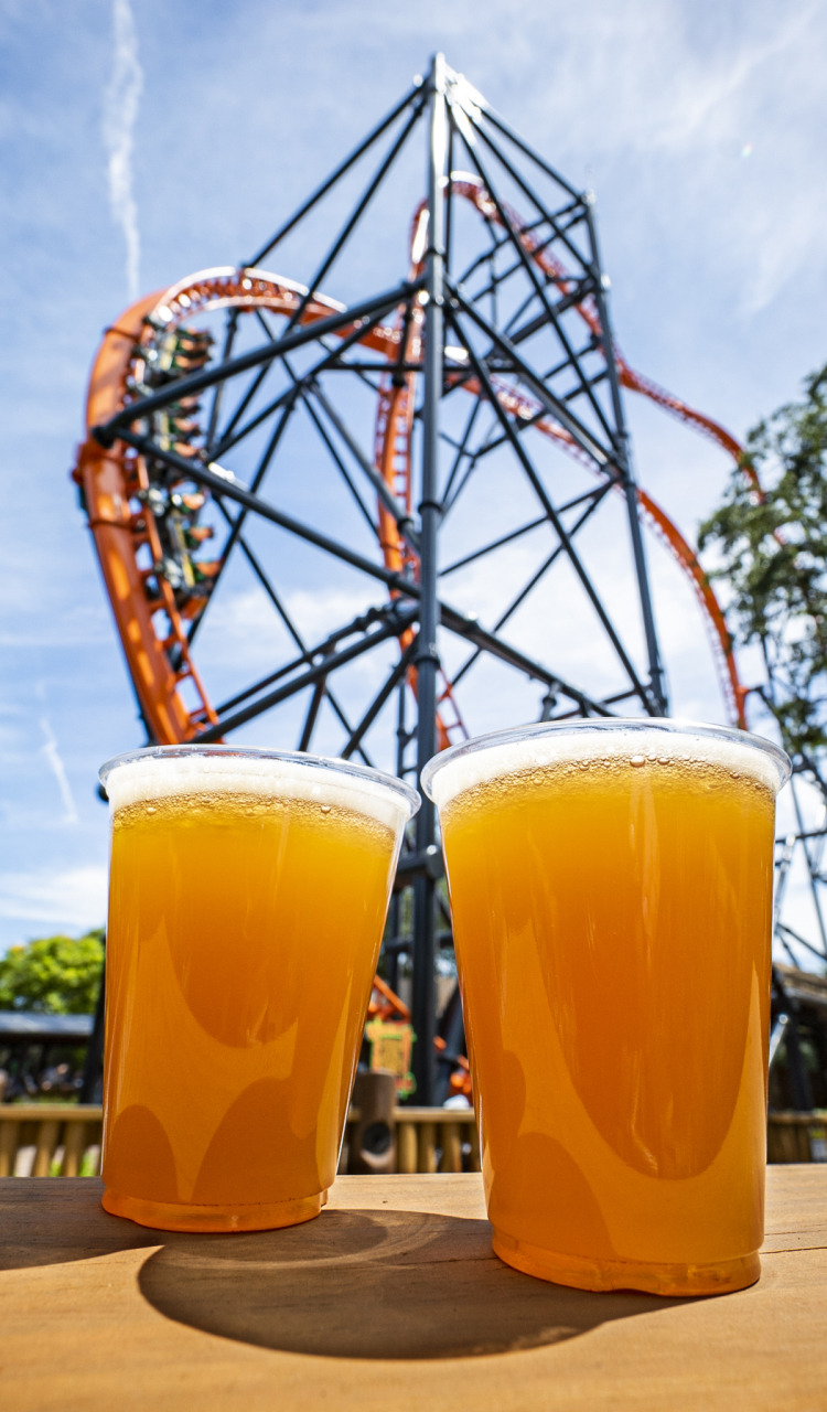 Beers at Busch Gardens Tampa Bay