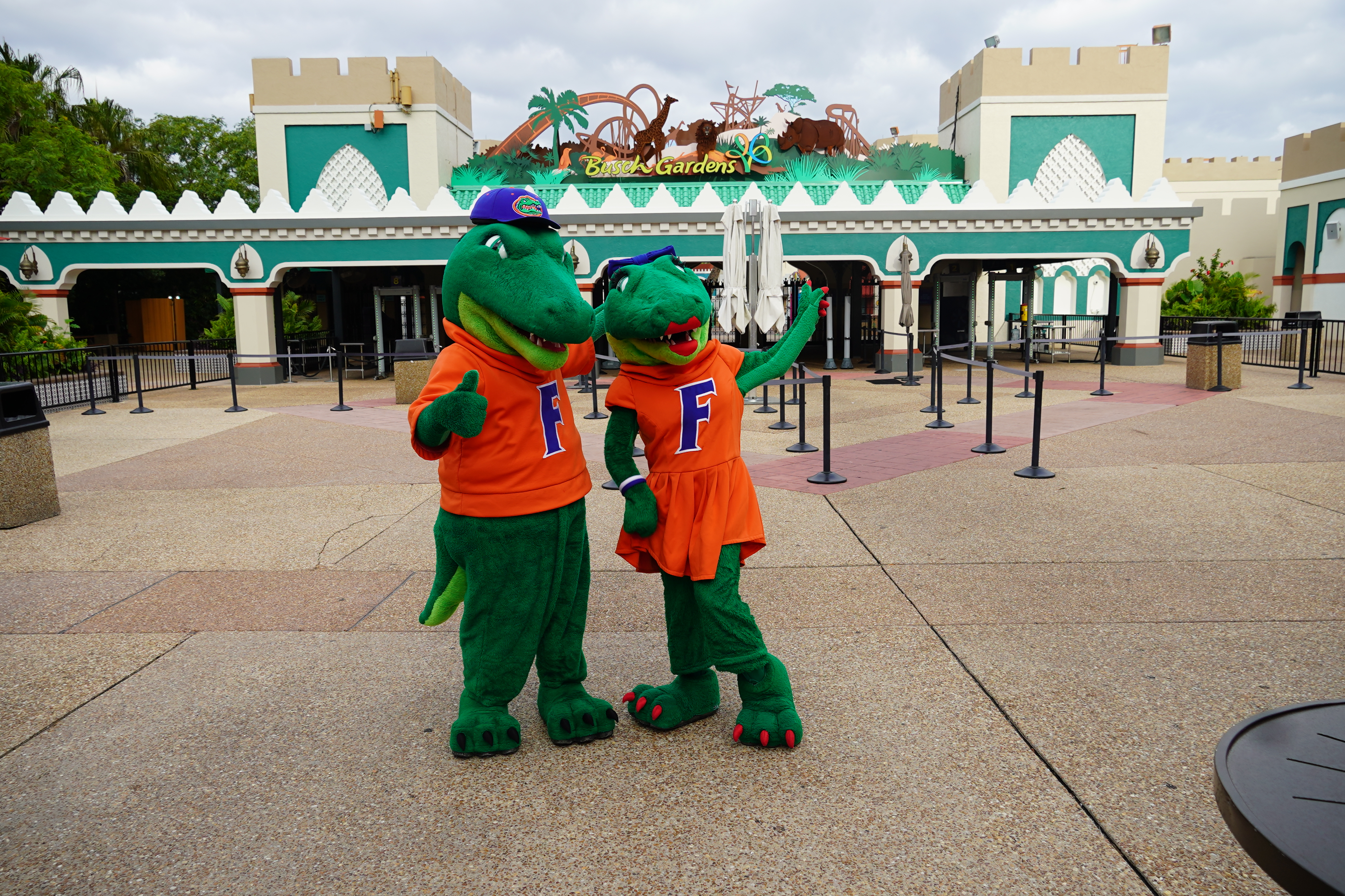 Busch Gardens Tampa Bay Gator Mascot University of Florida
