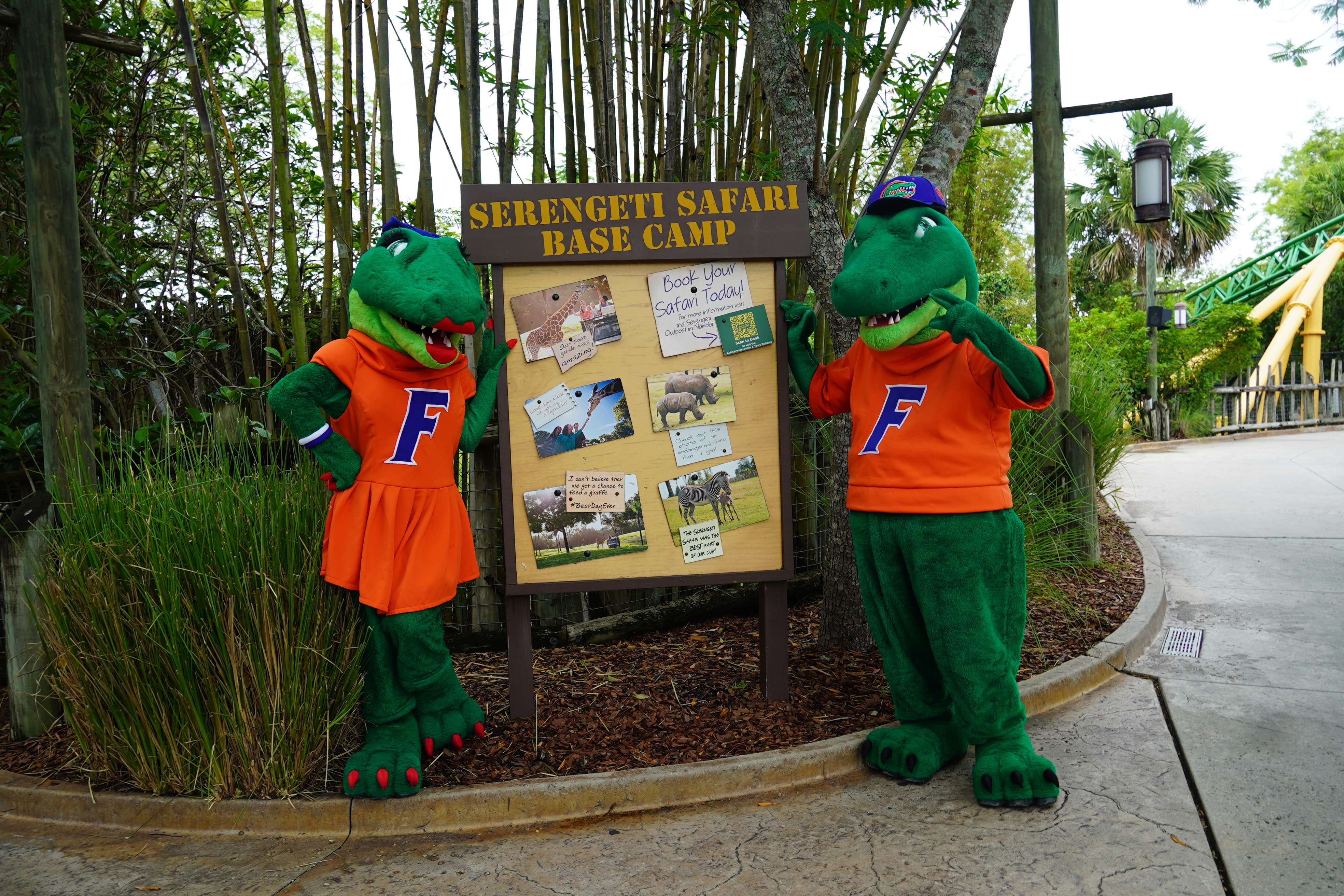 Busch Gardens Tampa Bay Gator Mascot University of Florida