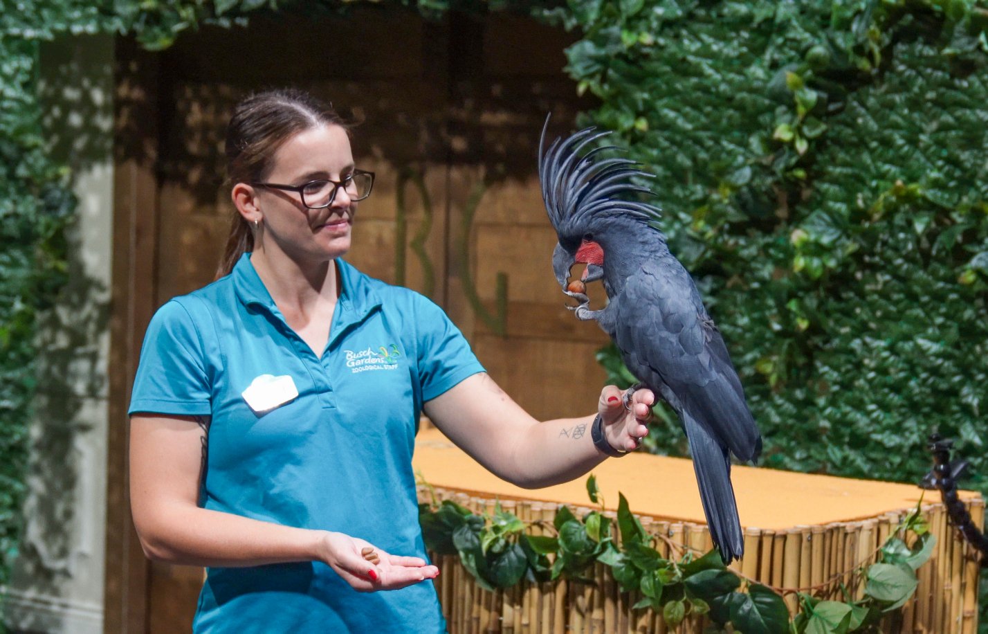 Animal Tales Presentation