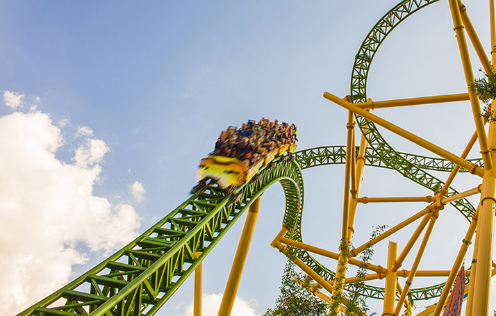 Cheetah Hunt