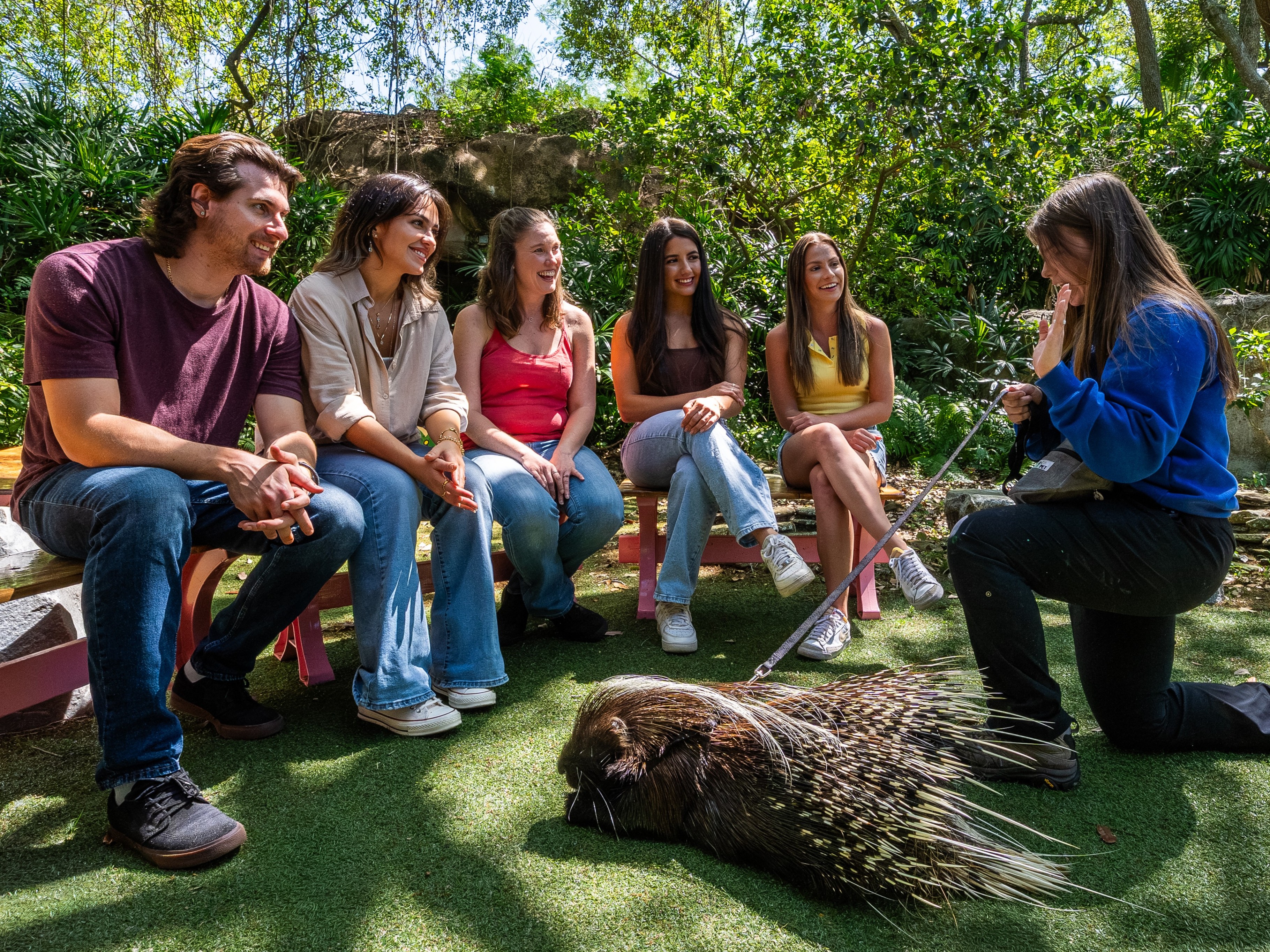 Animal Ambassador