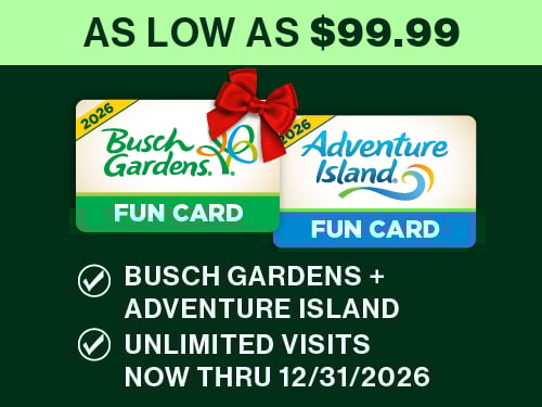 Fun Cards as low as $99.99