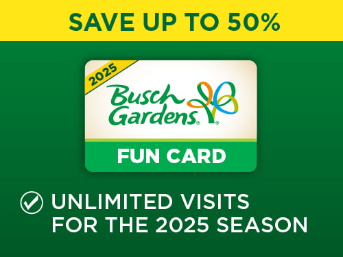 Save up to 50%