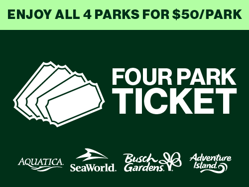 Four park ticket