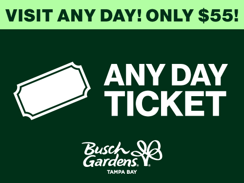 Any Day Ticket