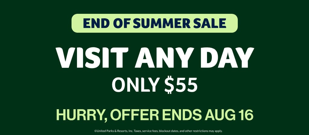 Visit Any Day! Only $55!