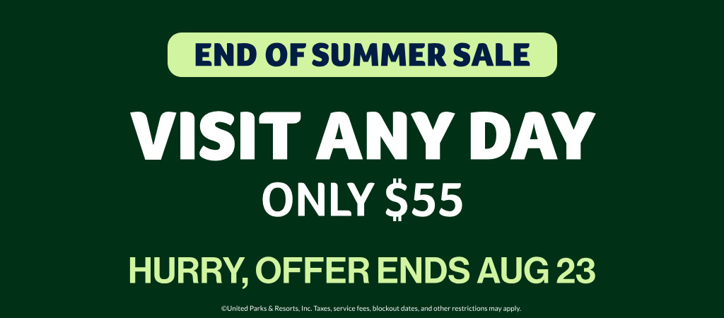 Visit Any Day! Only $55!