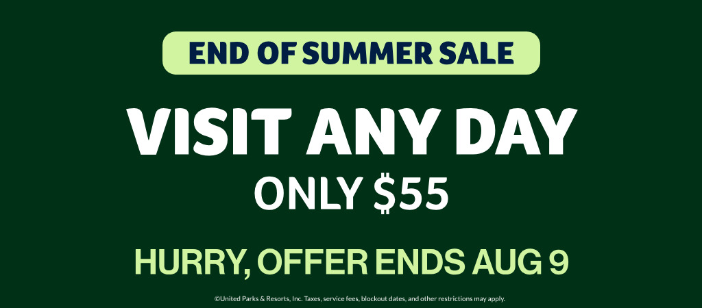 Visit Any Day! Only $55!