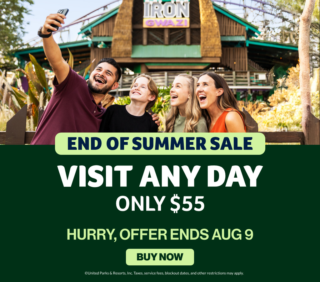Visit Any Day! Only $55!