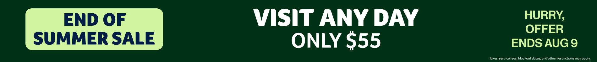 Visit Any Day! Only $55!