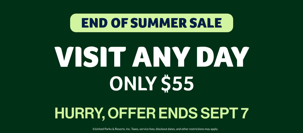 End of Summer Sale