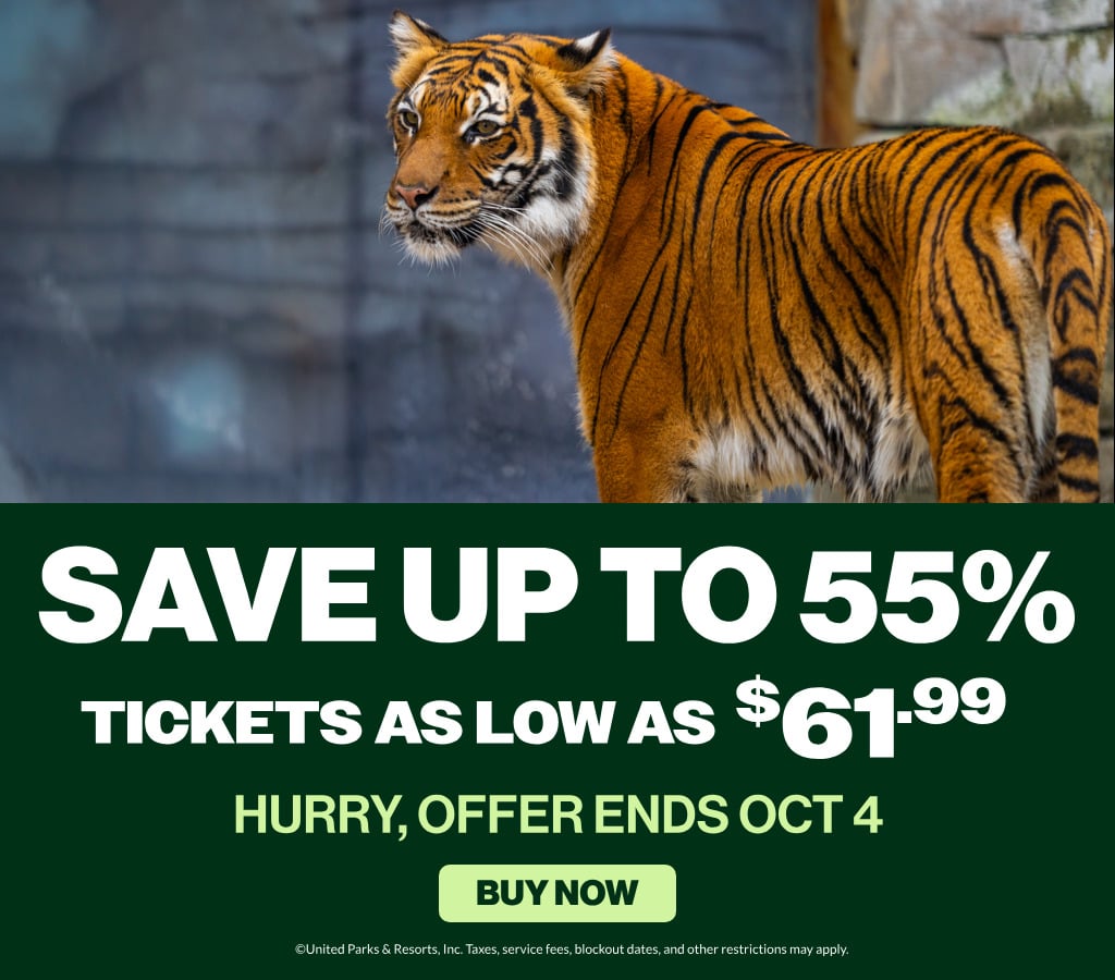 Busch Gardens Tampa Bay