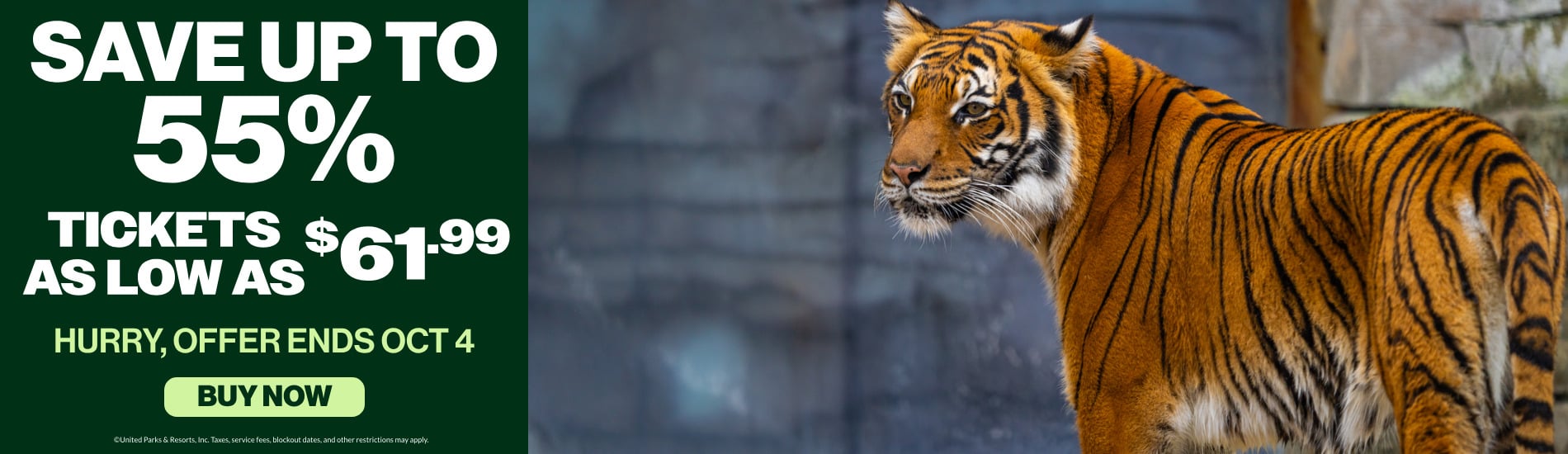 Busch Gardens Tampa Bay