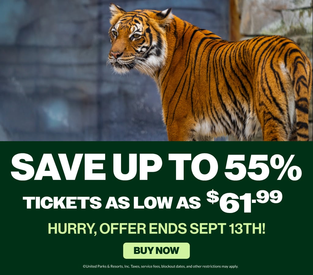 Save up to 55%! | Tickets as low as $61.99!