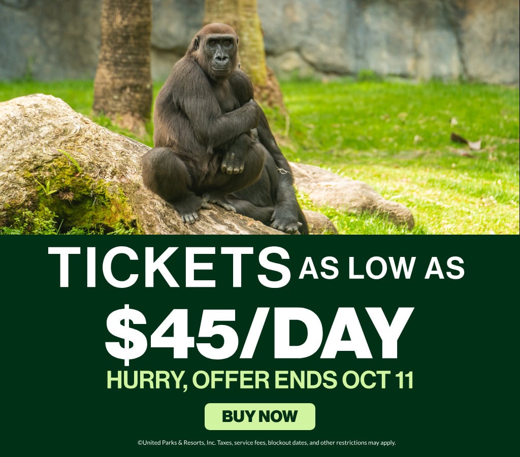 Tickets as low as $45/day