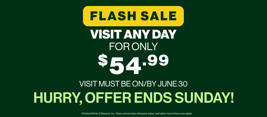 Flash Sale: Visit any day for only $39.99! Visit must be on/by June 30! Hurry, offer ends Sunday!