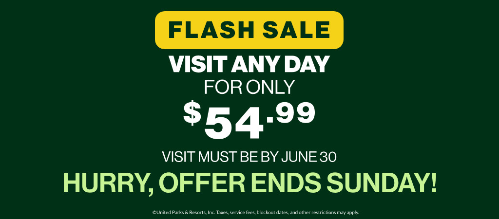 Flash Sale: Visit any day for only $39.99! Visit must be on/by June 30! Hurry, offer ends Sunday!