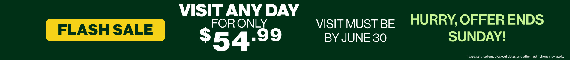 Flash Sale: Visit any day for only $39.99! Visit must be on/by June 30! Hurry, offer ends Sunday!
