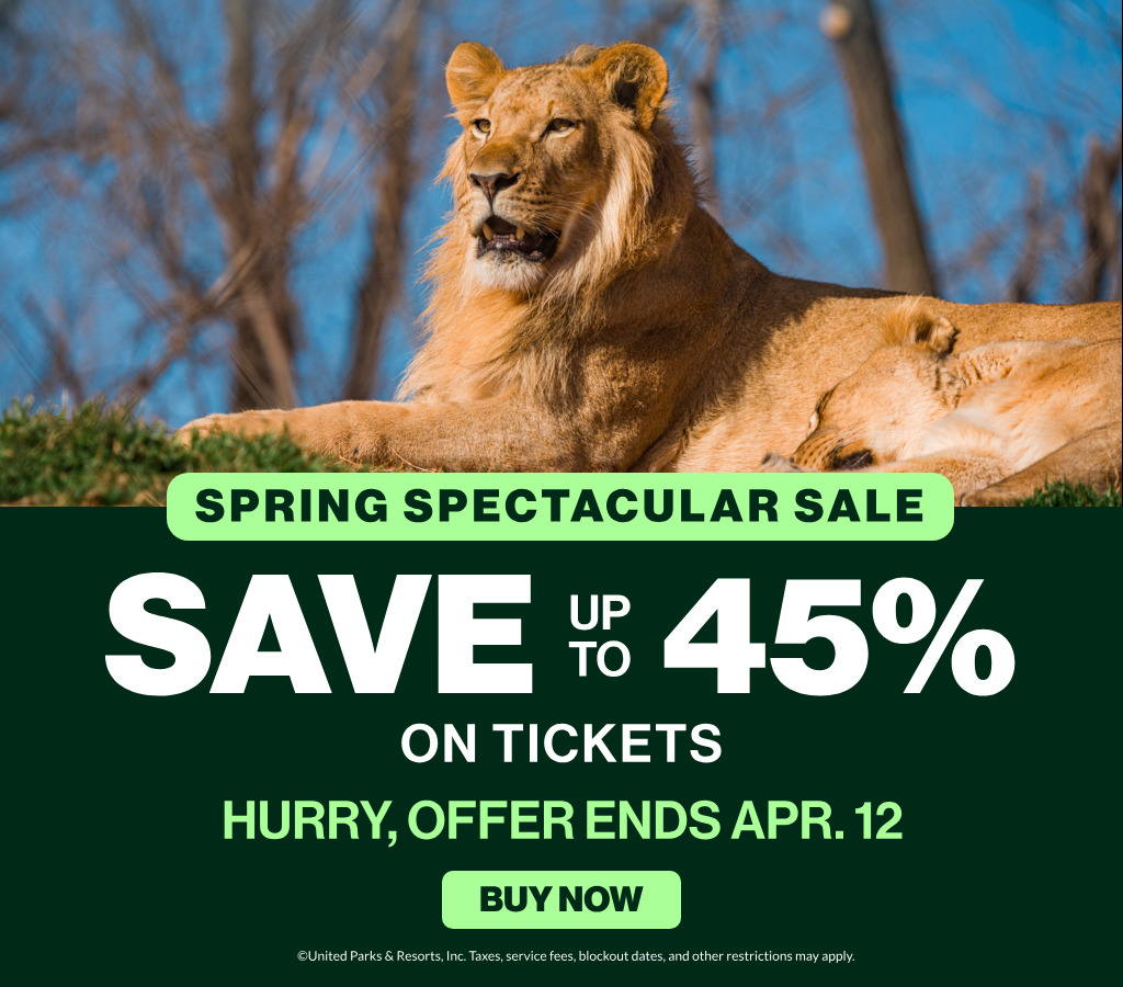 Spring Spectacular Sale