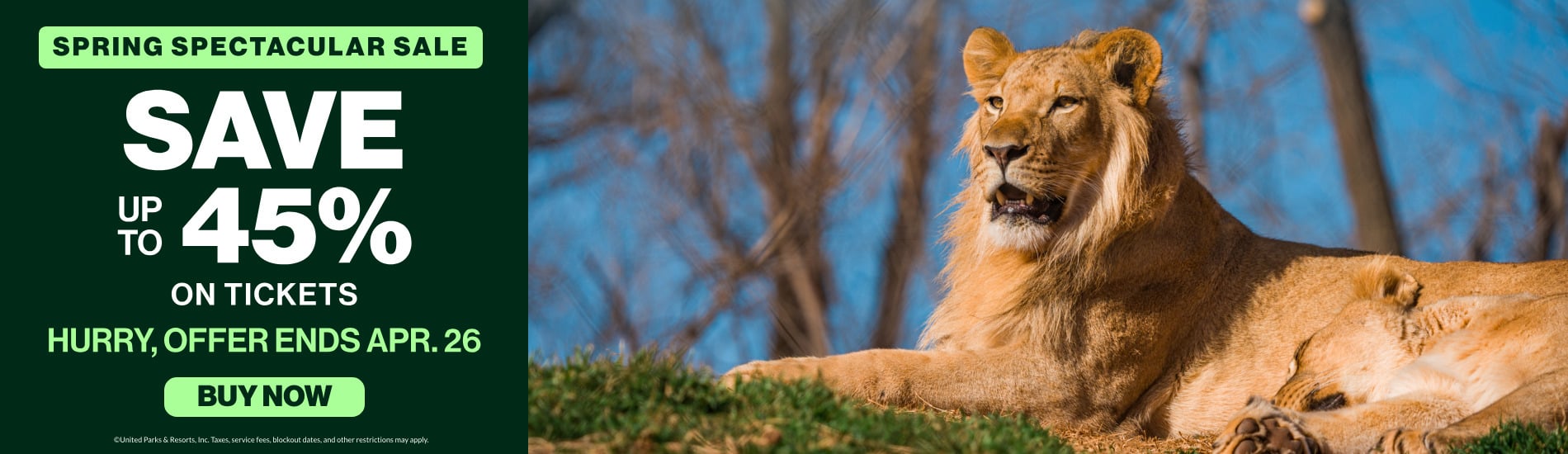 Spring Spectacular Sale